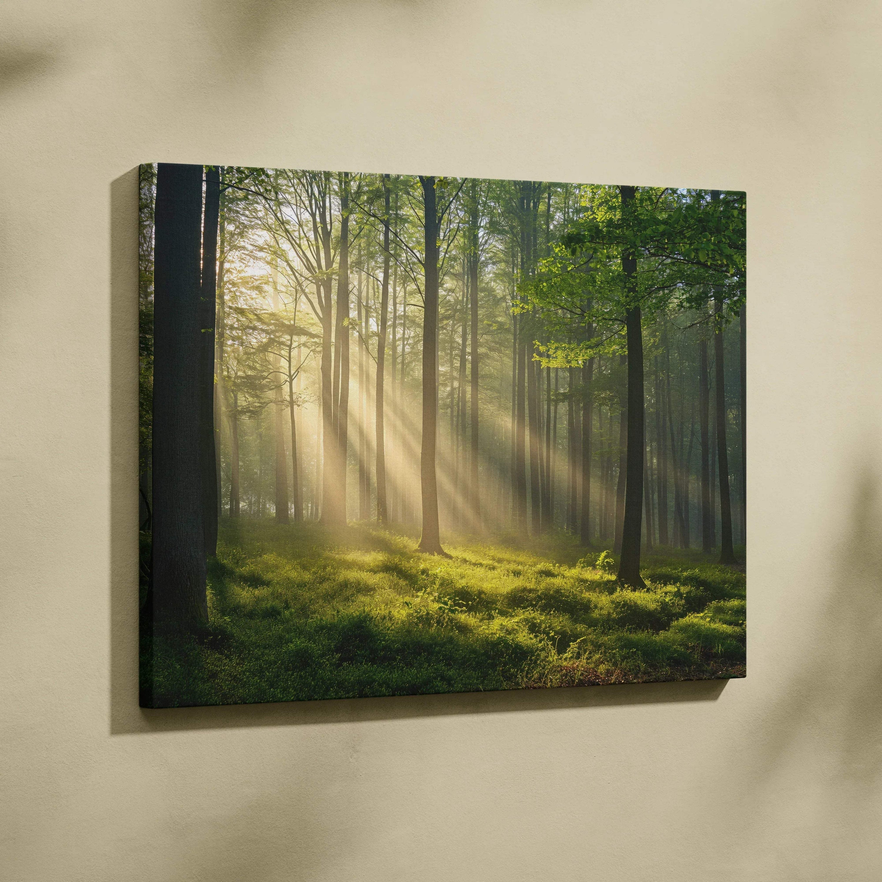 Canvas wall art featuring a sunlit forest with ancient trees and soft green foliage decor.