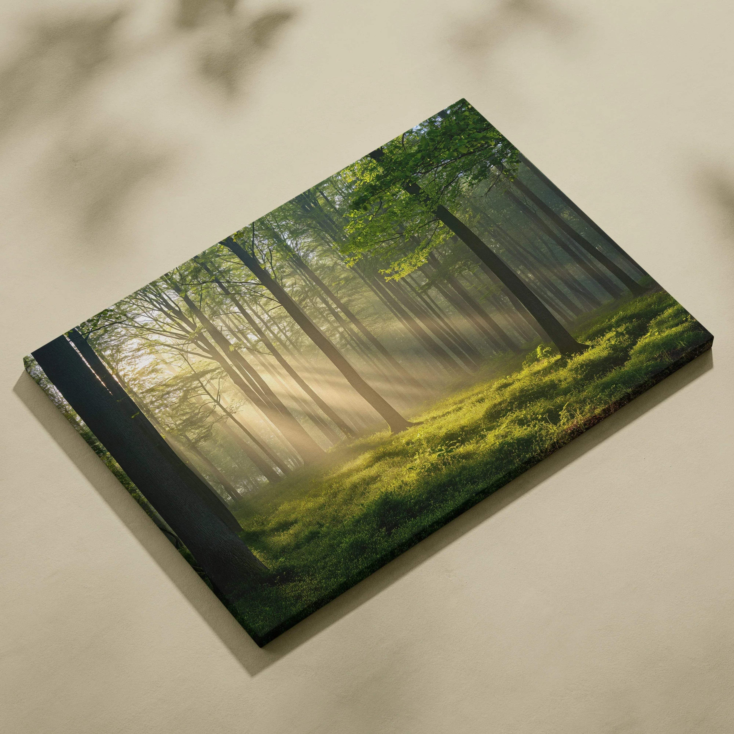 Forest landscape canvas wall art with sun rays filtering through ancient green trees, natural decor.
