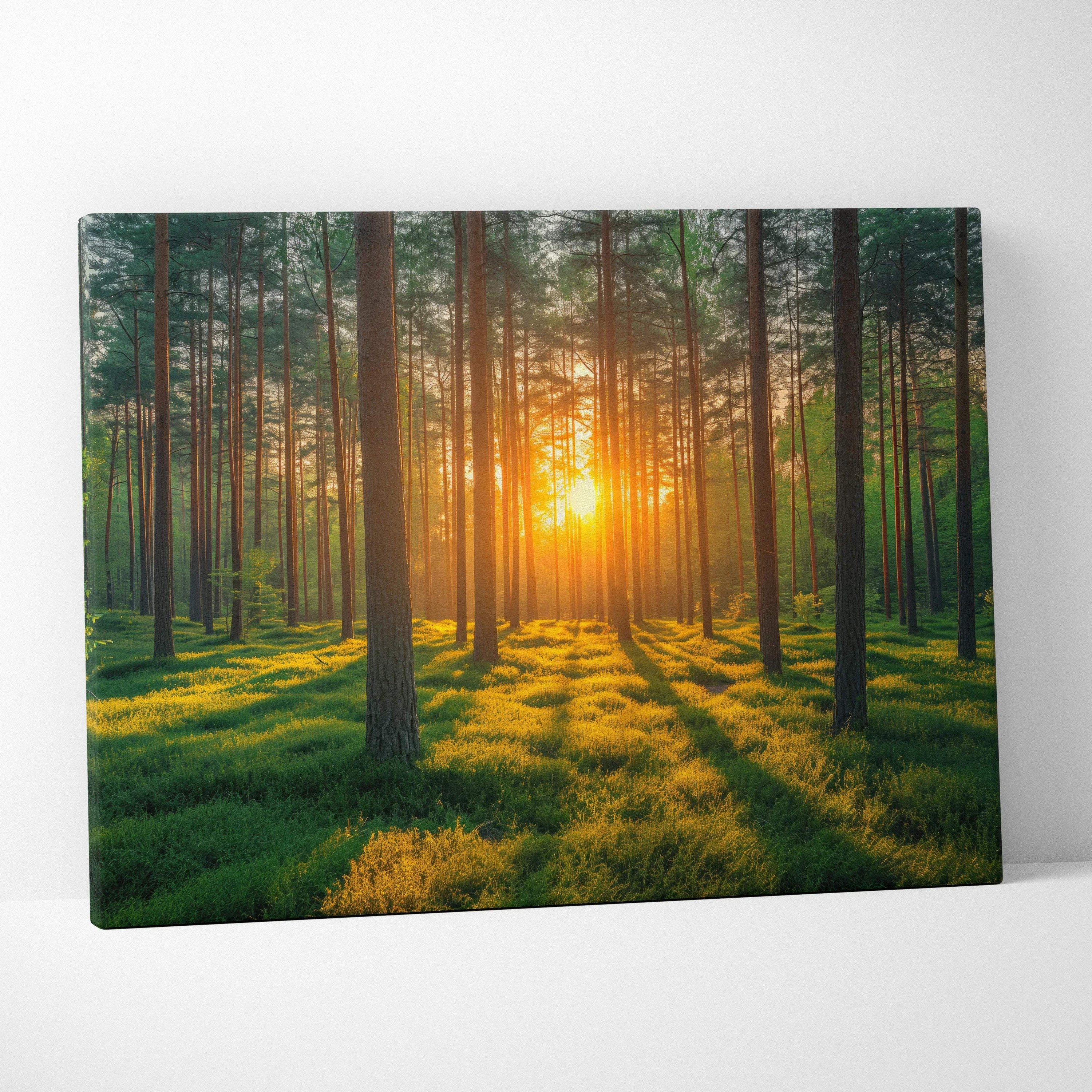 Forest sunset canvas wall art with sunbeams through tall pine trees and lush green grass decor.