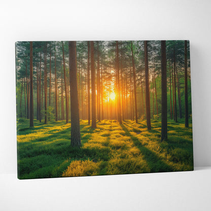 Forest sunset canvas wall art with sunbeams through tall pine trees and lush green grass decor.