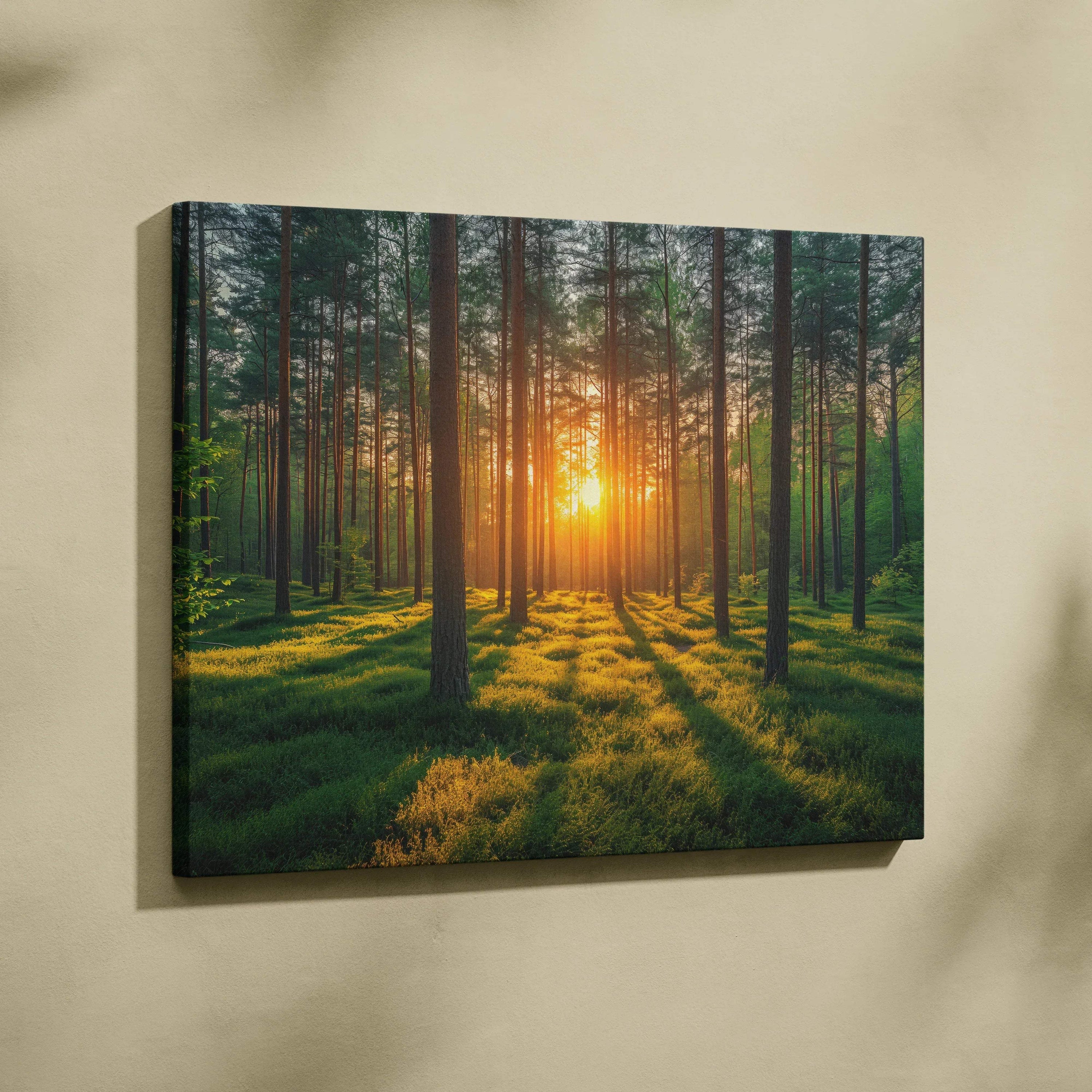 Forest sunset canvas wall art with warm golden sunlight filtering through tall trees casting long shadows on green forest.