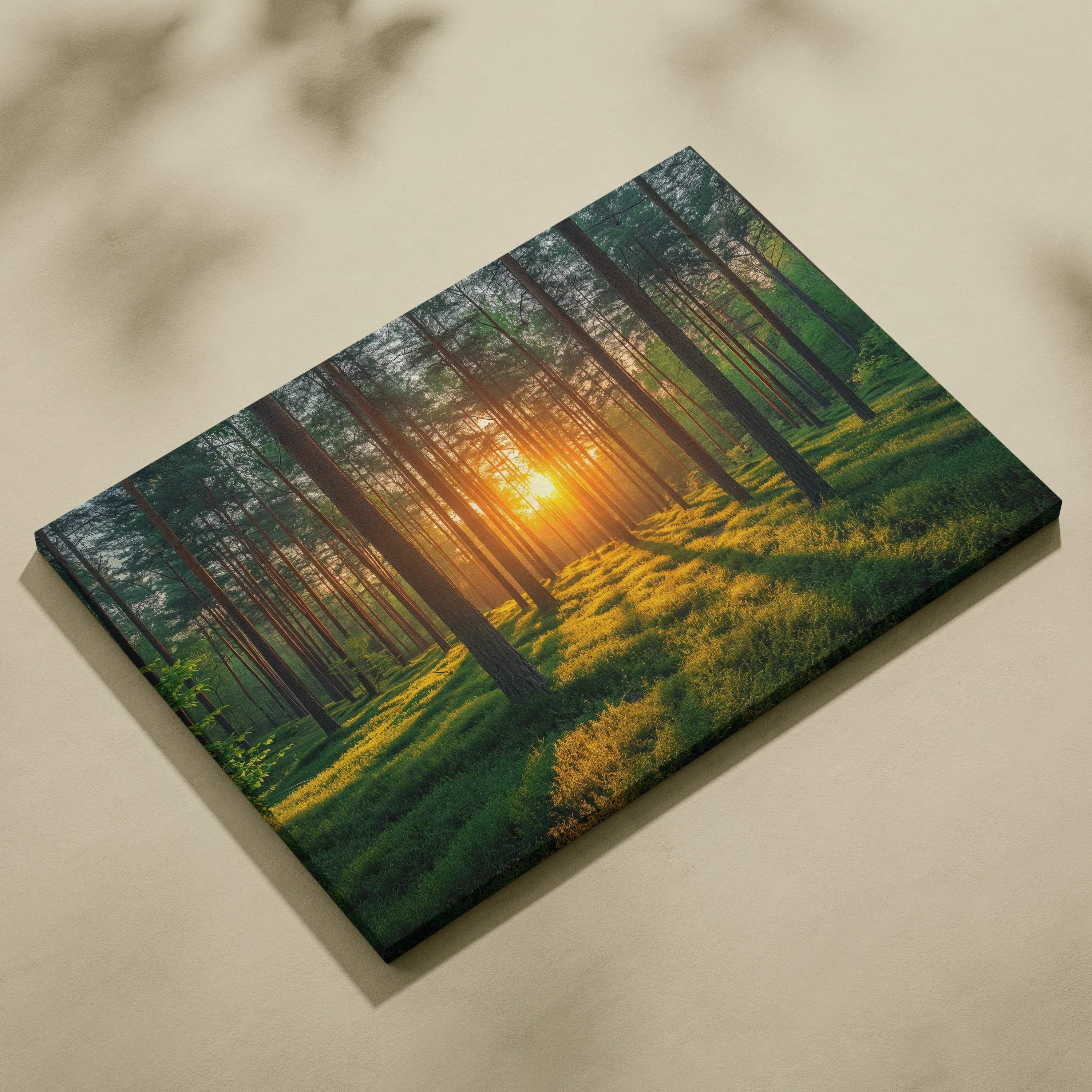 Canvas wall art featuring a forest scene with sun rays casting warm light through tall trees, perfect for home decor.