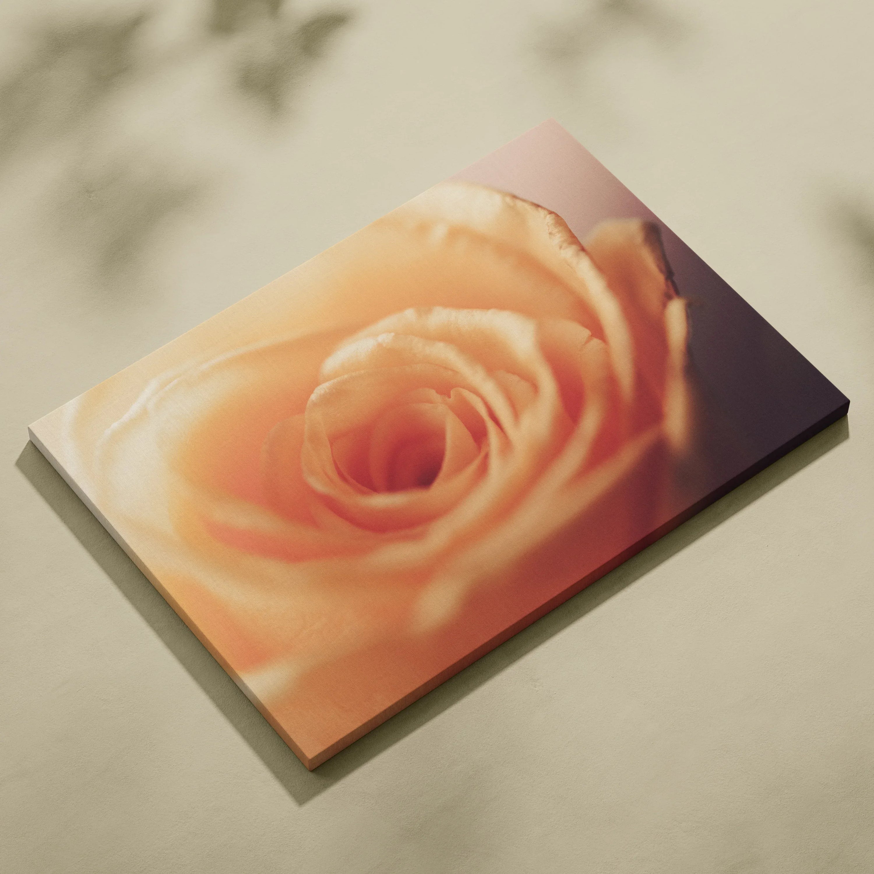 Vibrant orange rose close-up printed on rectangular canvas wall art with soft lighting and shadow effects.