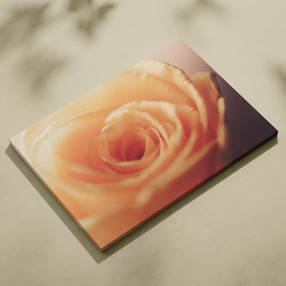 Vibrant orange rose close-up printed on rectangular canvas wall art with soft lighting and shadow effects.