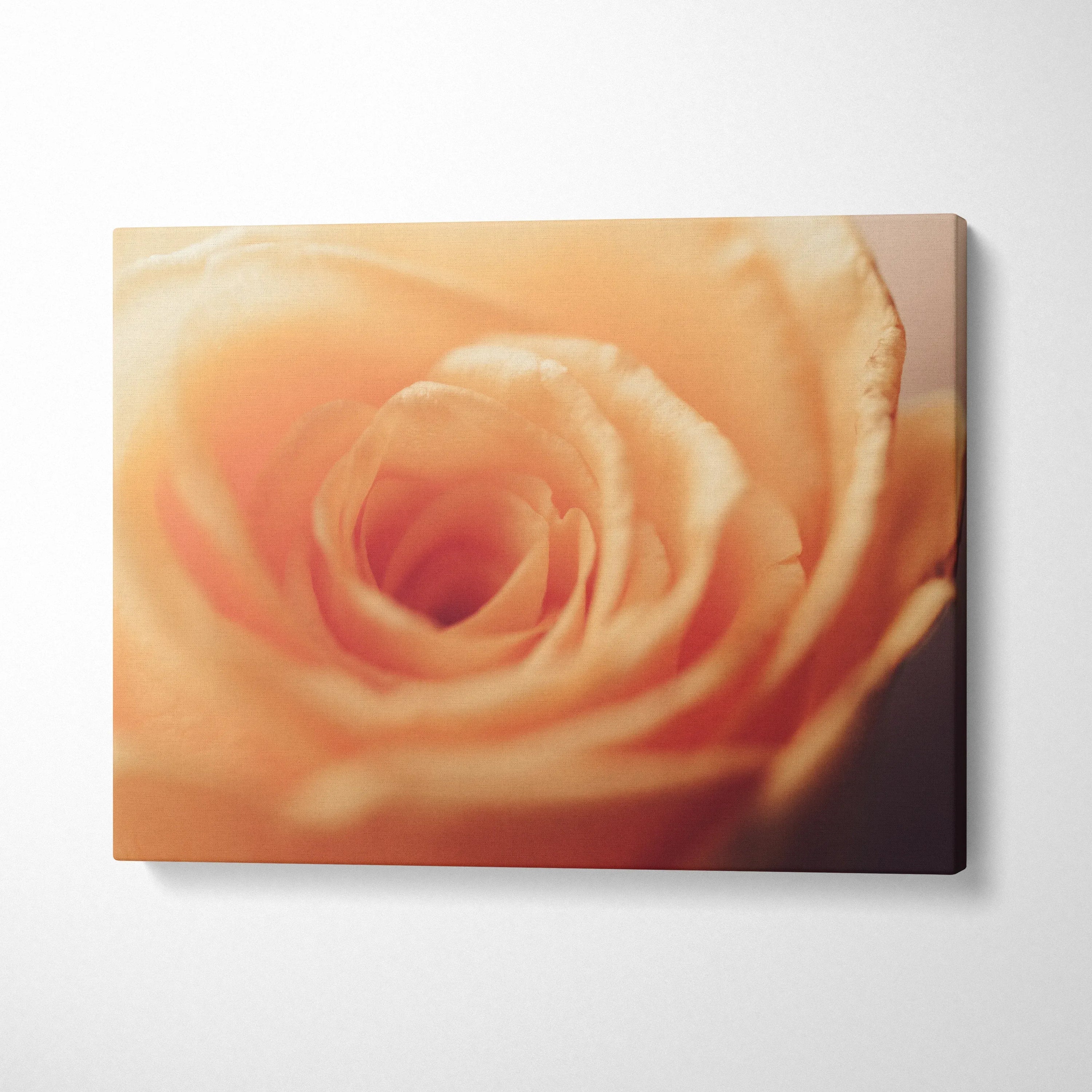 Vibrant orange rose close-up on canvas wall art with soft focus, perfect floral decor.