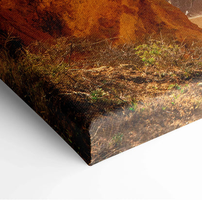 Canvas wall art featuring a textured close-up of a sandy beach with vegetation and reddish rock formations.