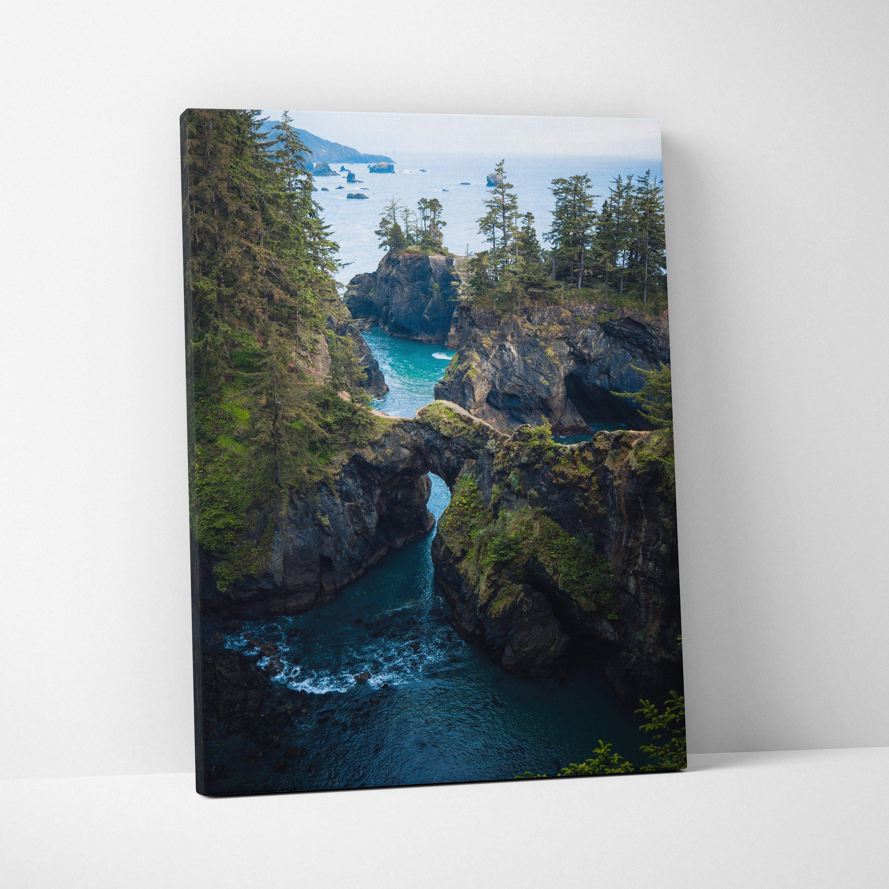 Rugged coastal cliffs with natural rock arch over emerald water and evergreen trees canvas print