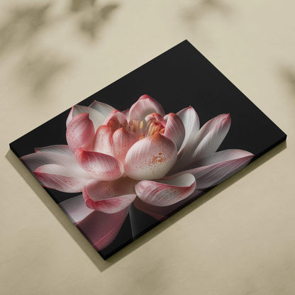 Canvas wall art featuring a detailed pink and white cherry blossom flower on a black background.