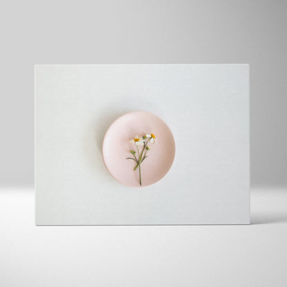 Minimalist canvas wall art featuring a pink plate with delicate white flowers for modern decor.