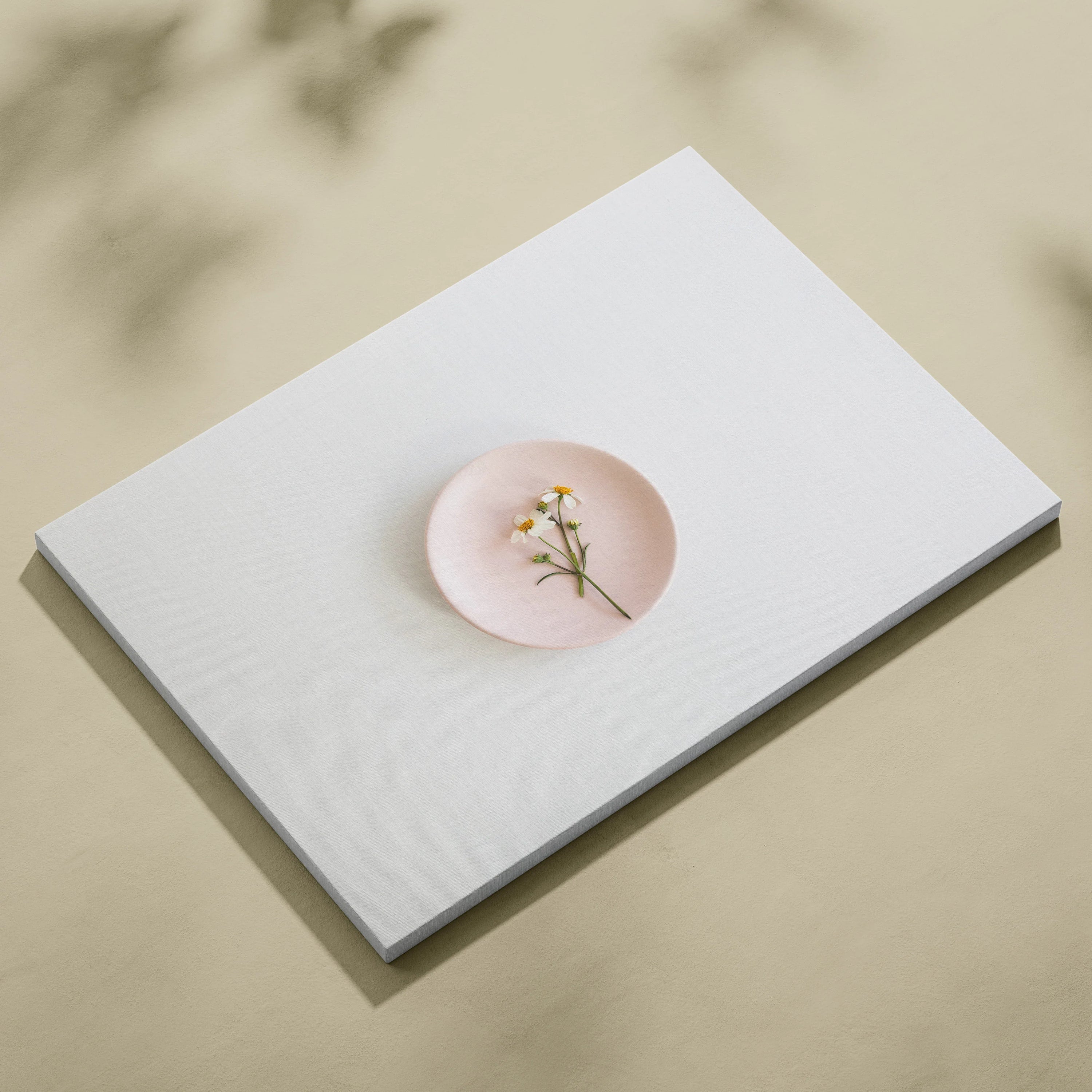 Minimalist canvas wall art featuring a pink plate with small white flowers on light decor background.