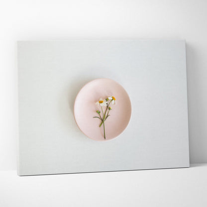 Minimalist canvas wall art featuring a pink plate with white flowers for modern decor.