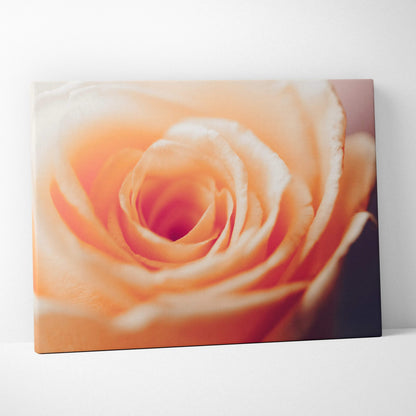 Orange rose close-up floral canvas wall art with soft focus petals for modern decor.