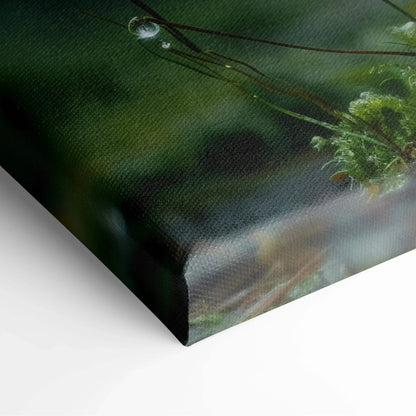 Close-up of canvas wall art featuring detailed Amanita mushrooms and green moss with rich, dark forest background.