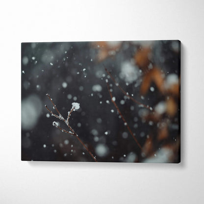 Winter snowfall close-up on branches canvas wall art decor with blurred dark background.