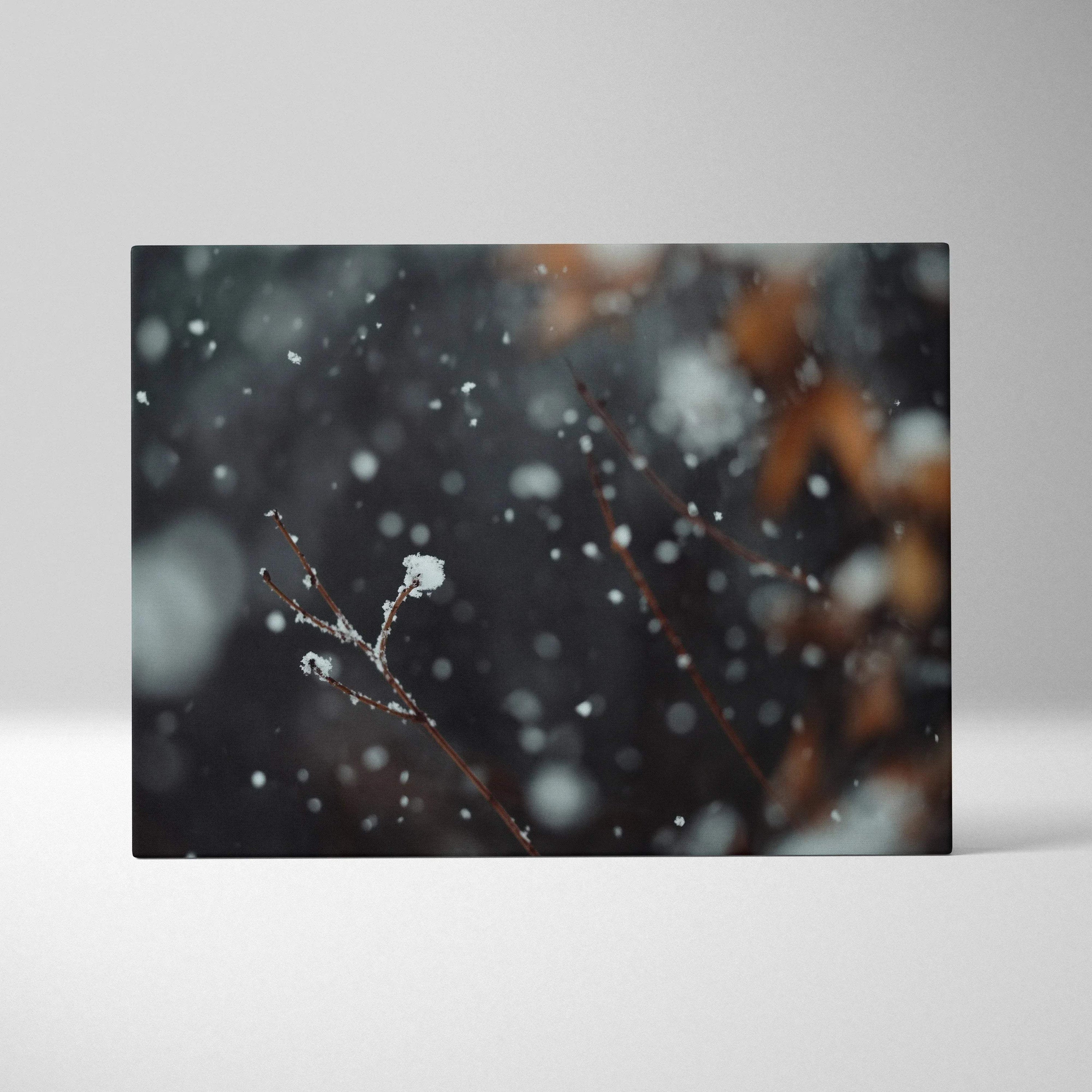 Canvas wall art featuring close-up of snow-covered branches with falling snowflakes and blurred dark background.