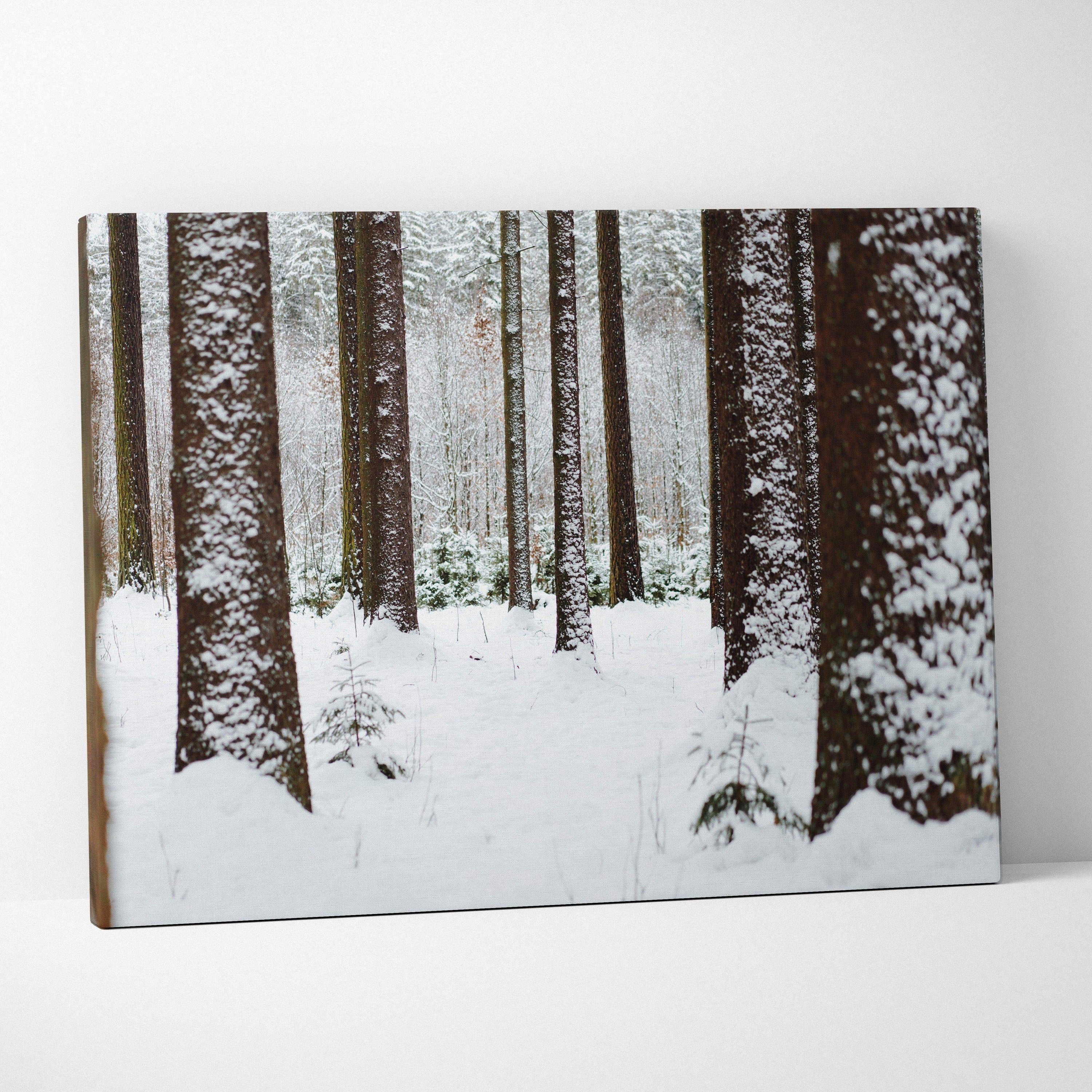 Snowy forest landscape canvas wall art with tall tree trunks and winter decor.