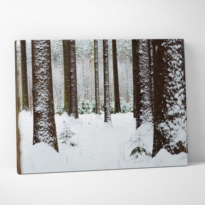 Snowy forest landscape canvas wall art with tall tree trunks and winter decor.
