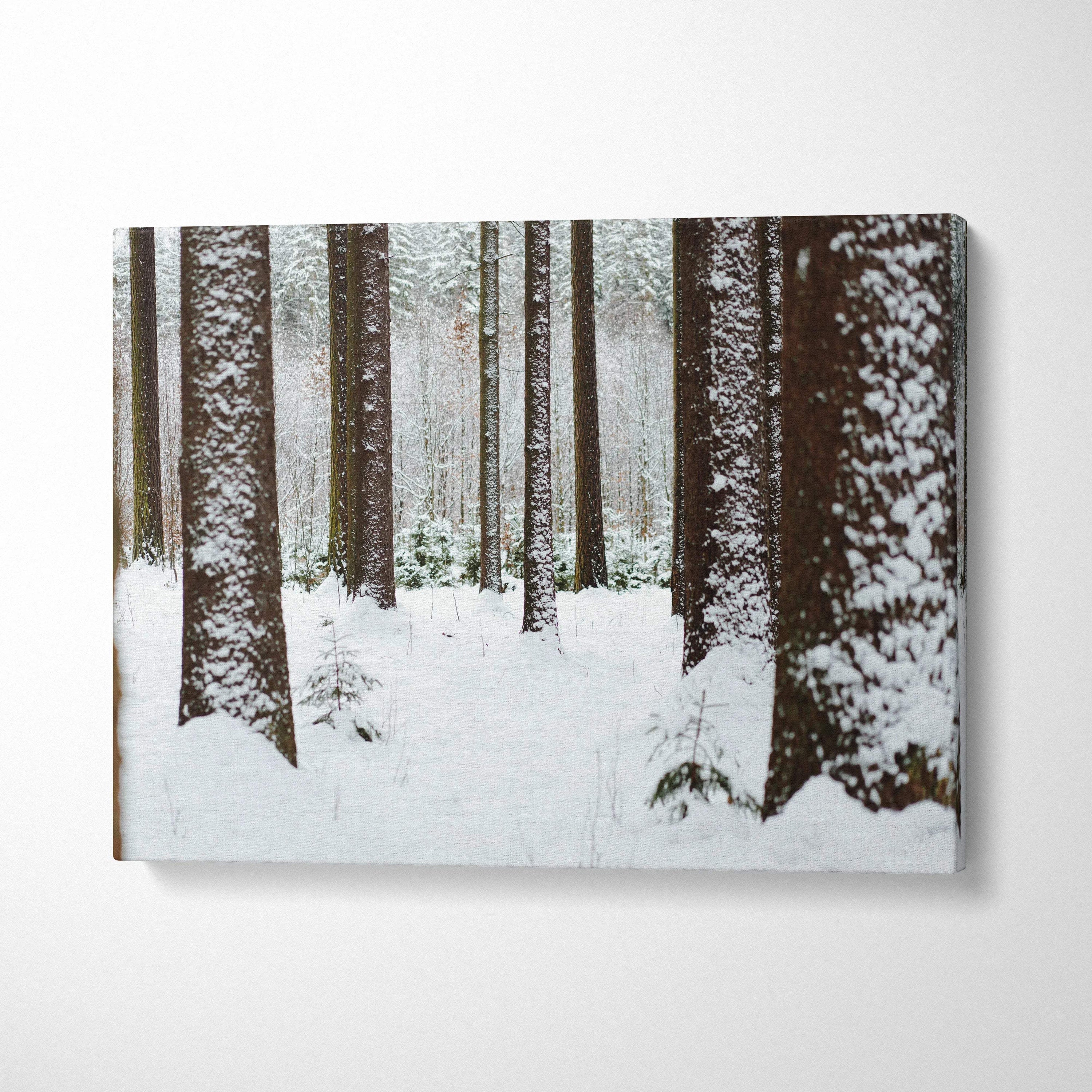 Snowy forest winter landscape canvas wall art with tall tree trunks and snow-covered ground.