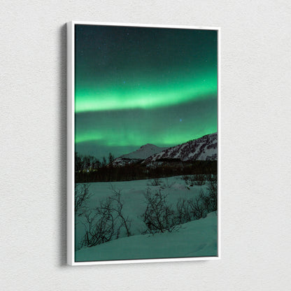 Vertical canvas wall art featuring vibrant green northern lights over snowy mountains and dark silhouetted trees.