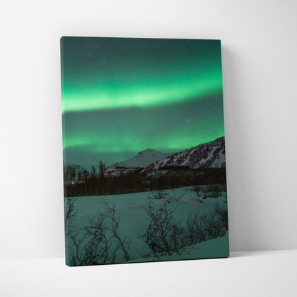 Canvas wall art featuring green northern lights over snowy mountains and dark silhouetted trees at night.