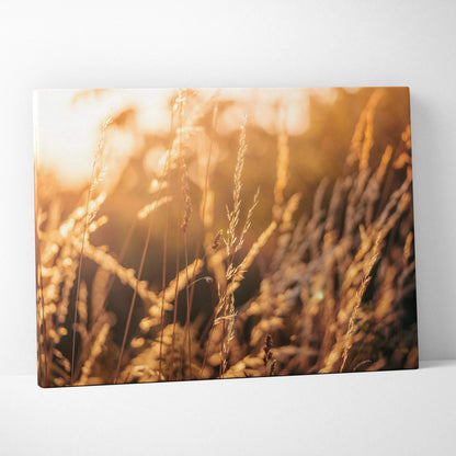 Canvas wall art of sunlit summer grass and wildflowers with warm golden tones and soft focus background.