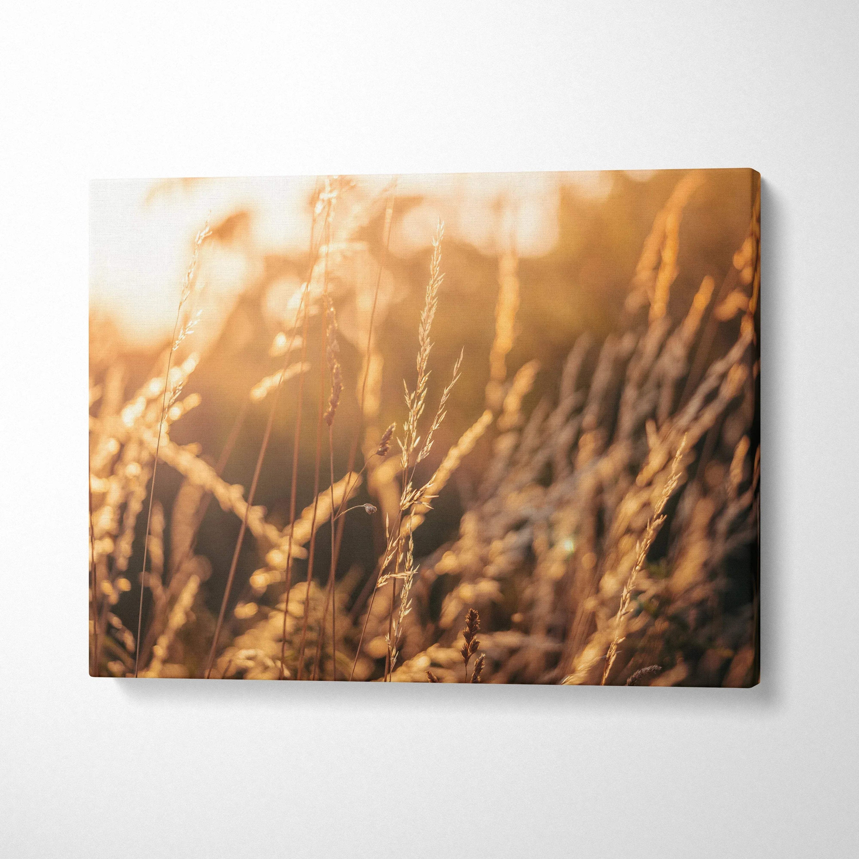 Canvas wall art featuring high-resolution close-up of golden summer grass and wildflowers, warm natural tones decor.