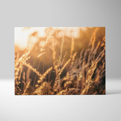 Canvas wall art featuring close-up golden summer grass and wildflowers in soft focus, warm sunlight effect.