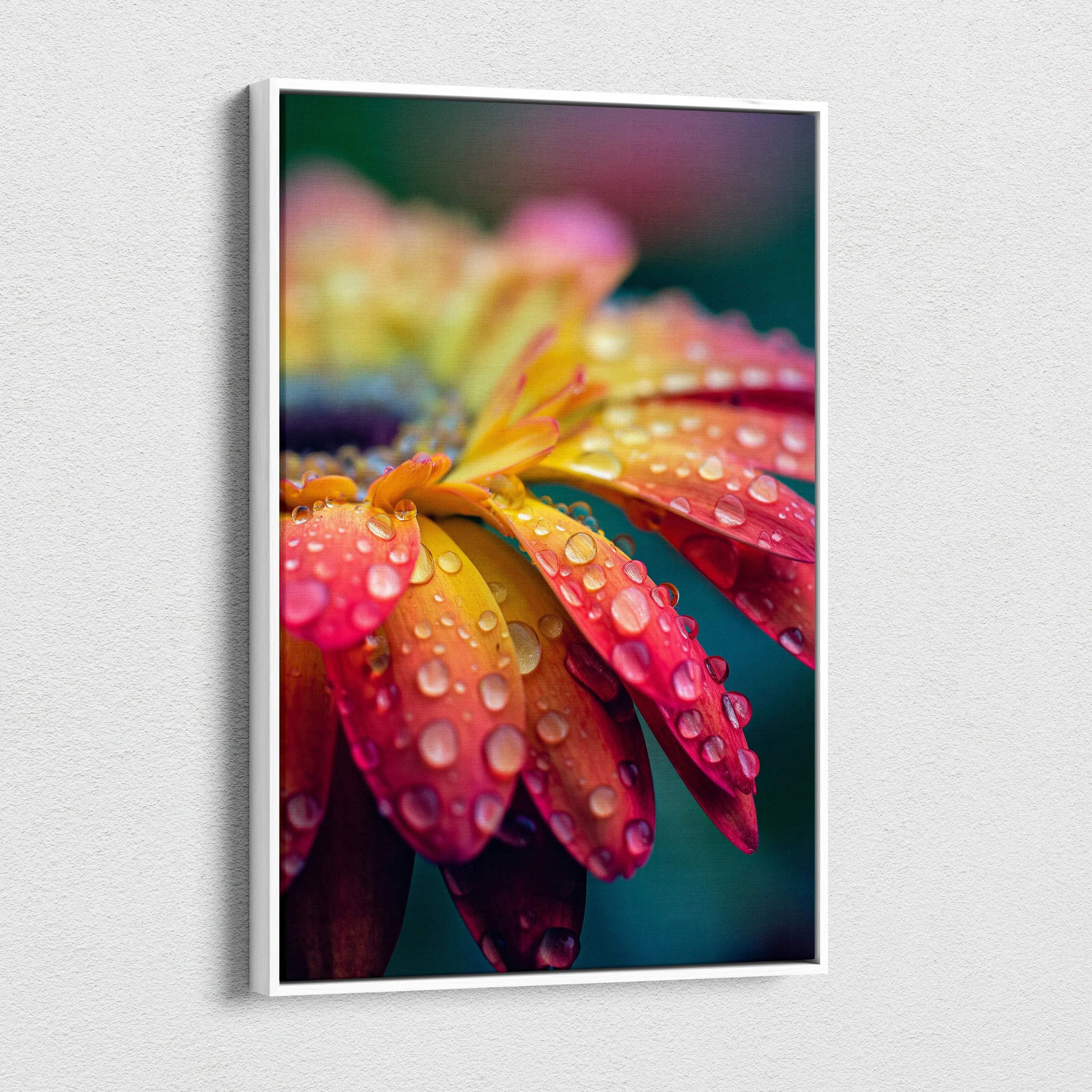 Vibrant macro daisy canvas wall art with gradient petals and water droplets