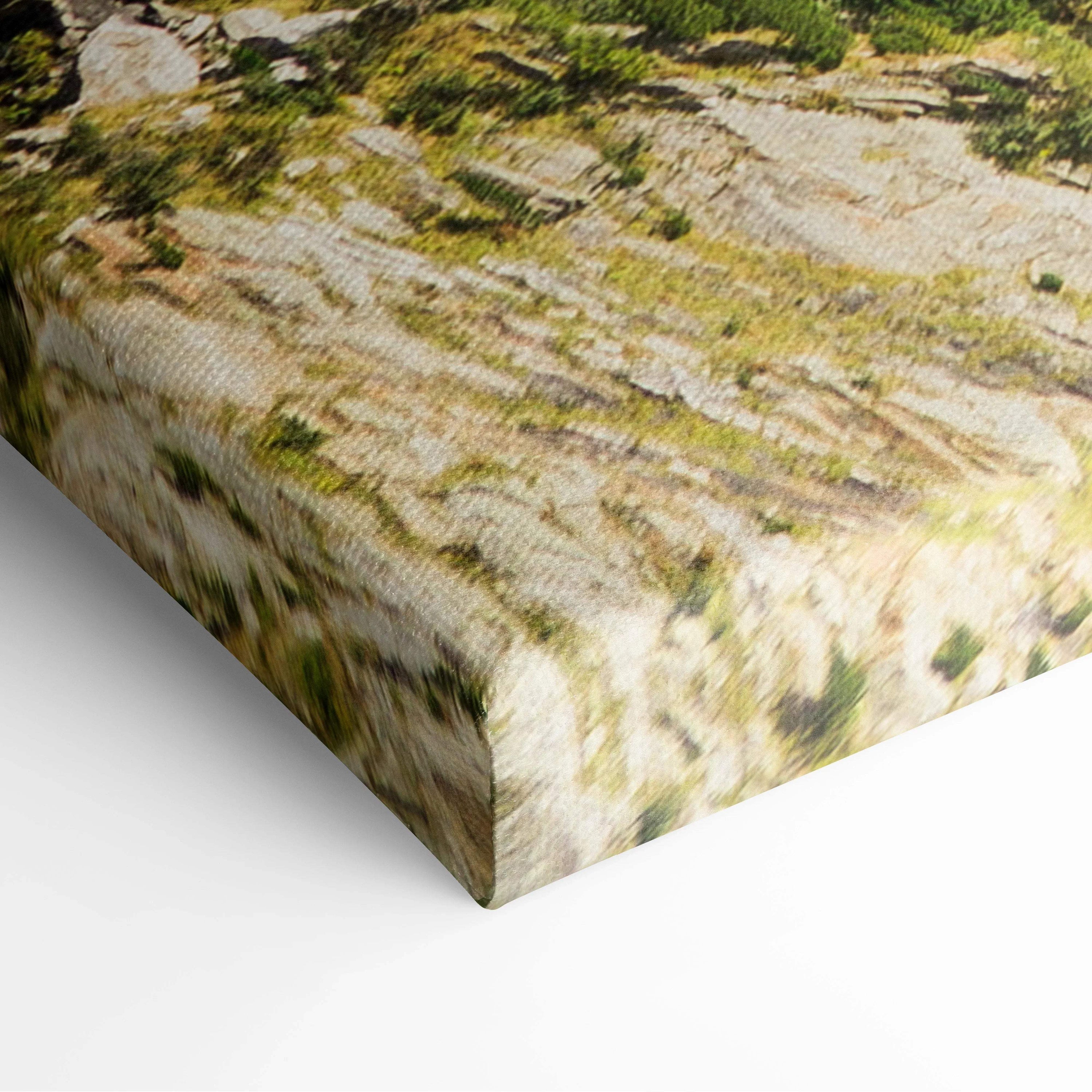 Canvas print of rugged mossy rocks in earthy green beige tones