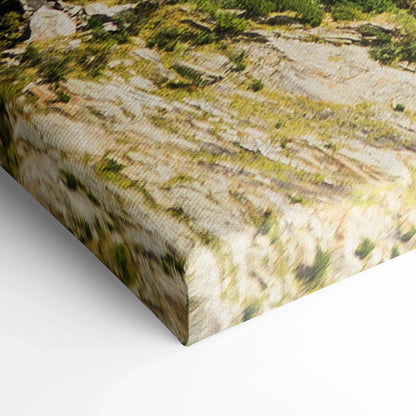 Canvas print of rugged mossy rocks in earthy green beige tones