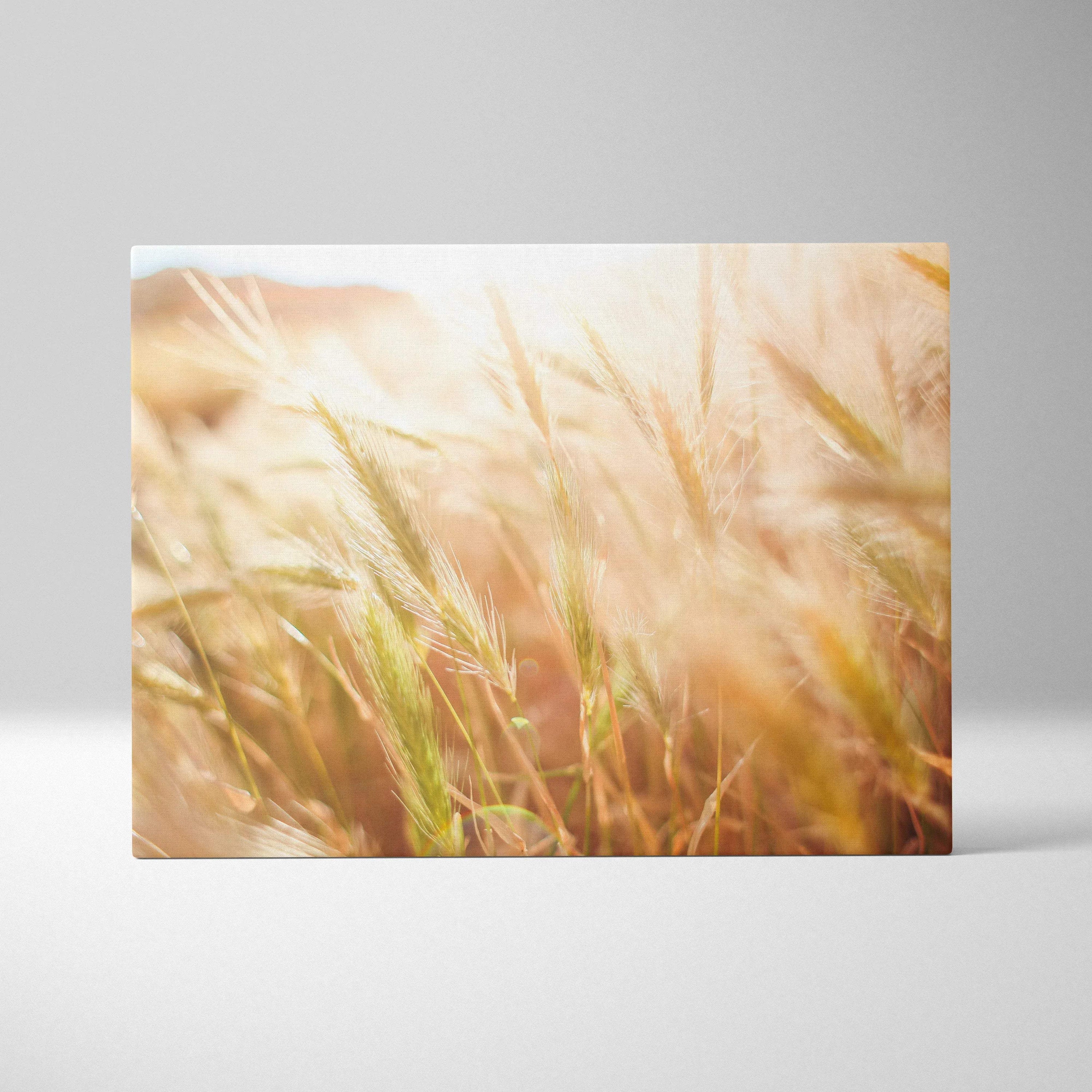 Canvas wall art featuring a sunlit wheat field with golden stalks and soft floral hues for home decor.