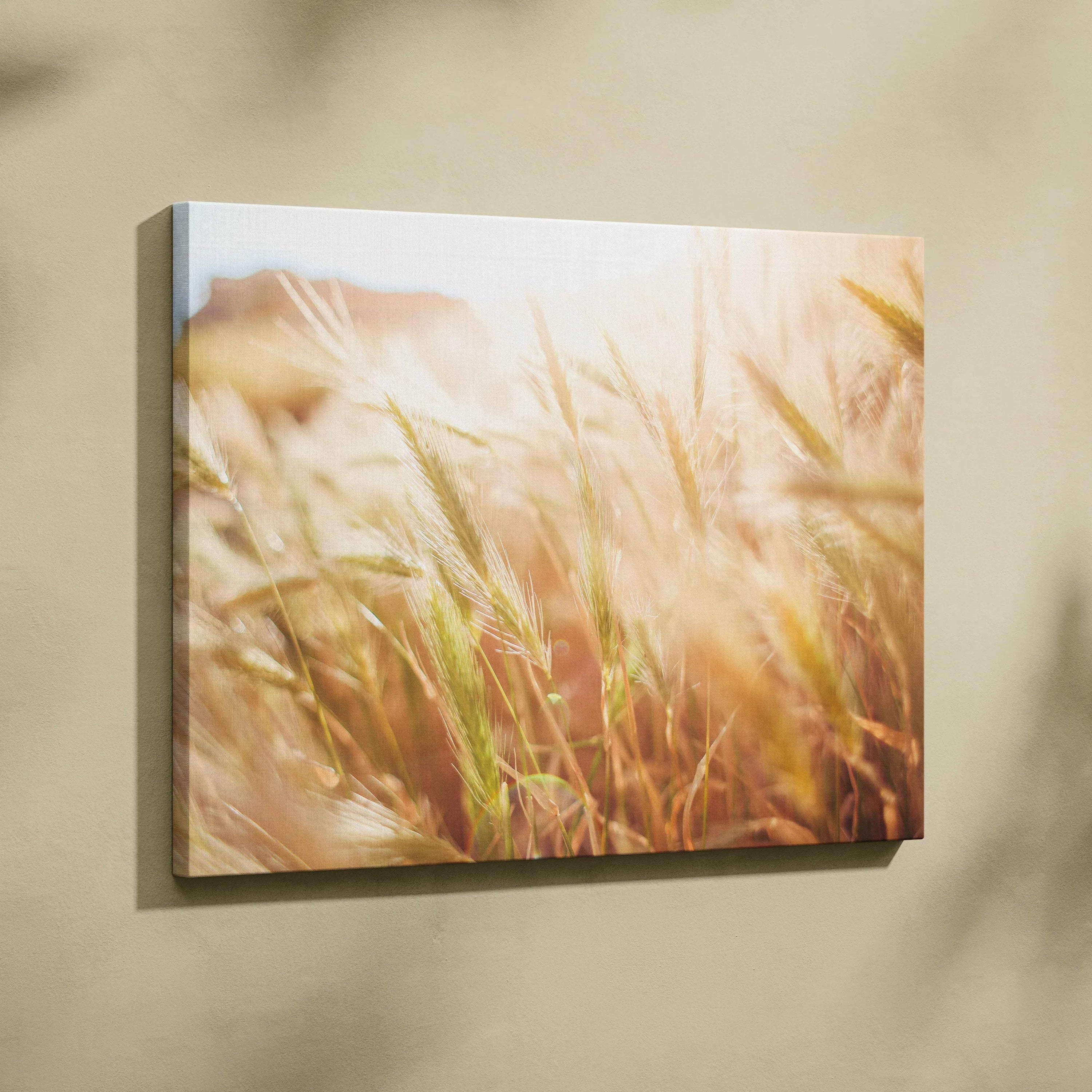 Canvas wall art featuring a sunlit wheat field with warm golden and beige tones, soft focus for a serene floral landscape.