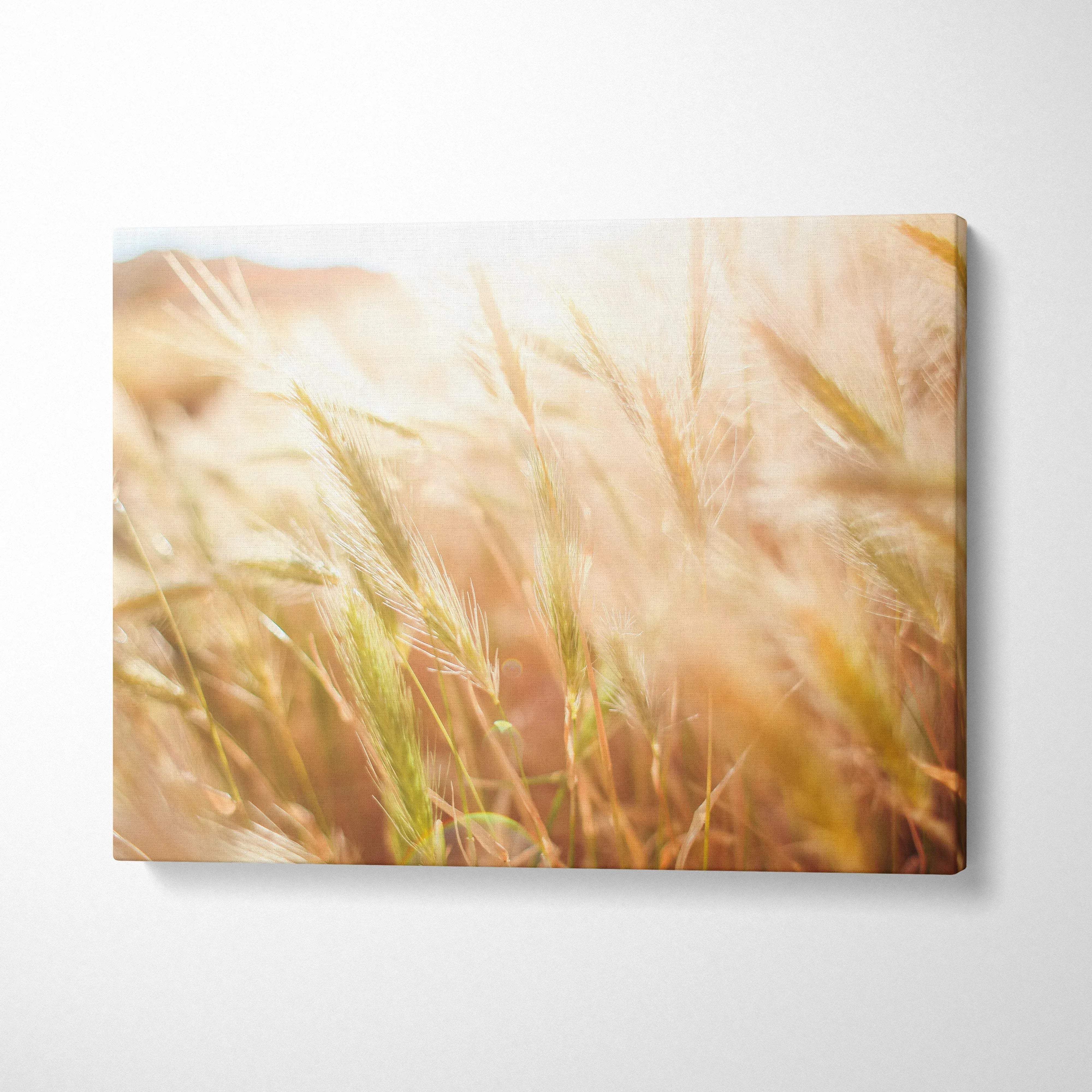 Canvas wall art featuring a sunlit summer wheat field with soft-focus floral accents for home decor.