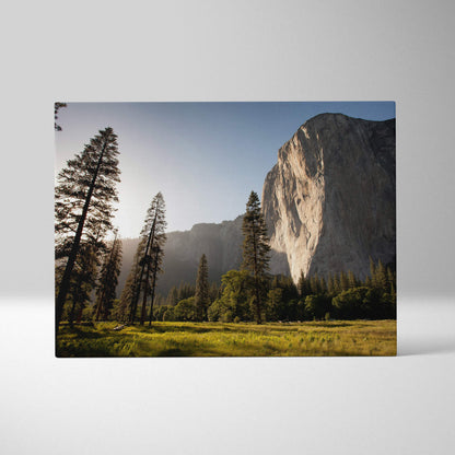 A rectangular canvas print of a golden sunlit yosemite cliff with evergreen trees for serene nature wall decor