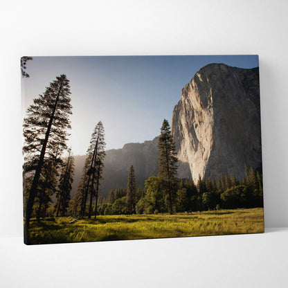 Golden sunlit yosemite cliff landscape canvas print featuring a granite cliffside and pine forest meadow nature decor