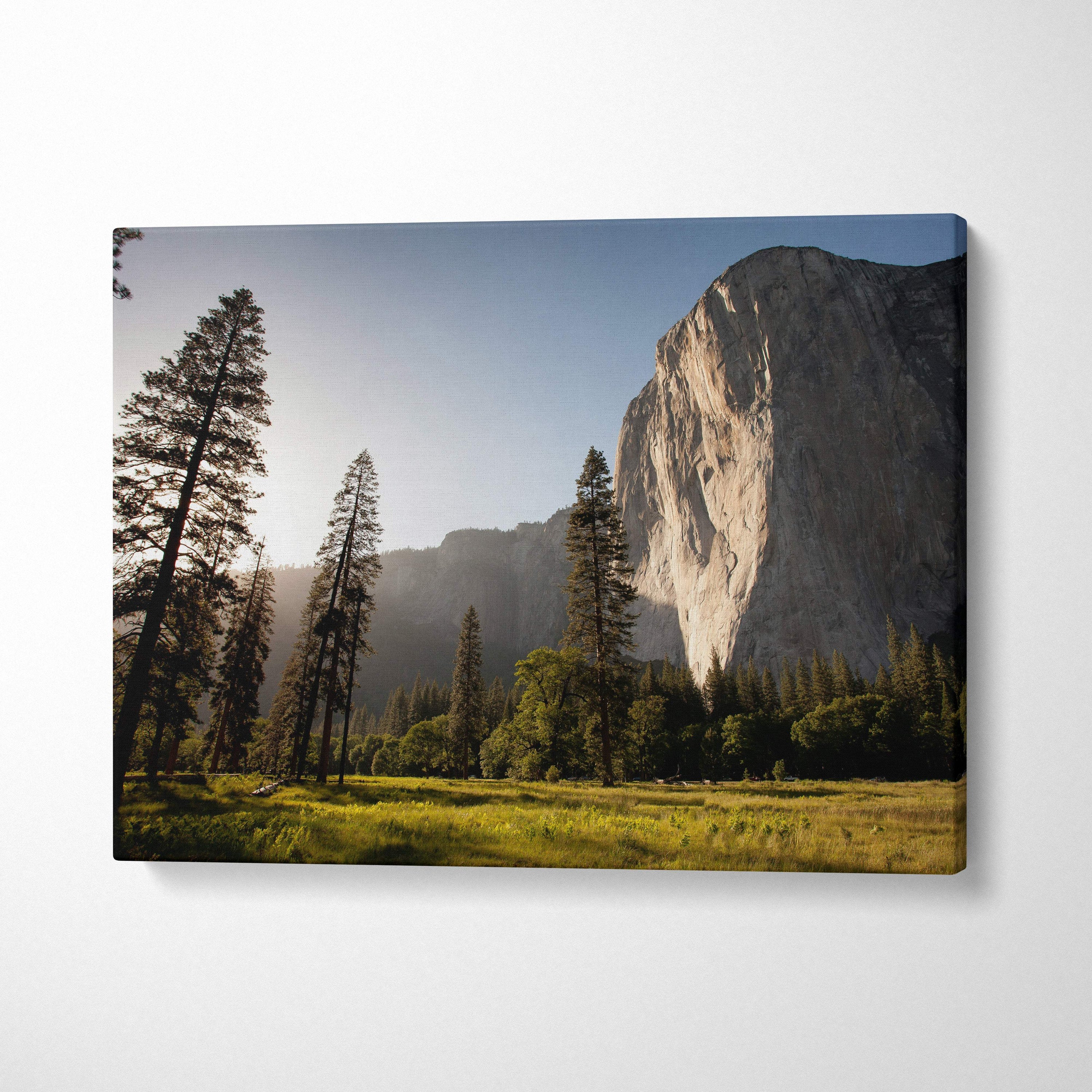 Canvas print of a golden sunlit yosemite cliff landscape with tall pine trees and grass for nature wall decor