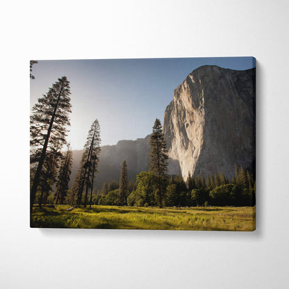 Canvas print of a golden sunlit yosemite cliff landscape with tall pine trees and grass for nature wall decor