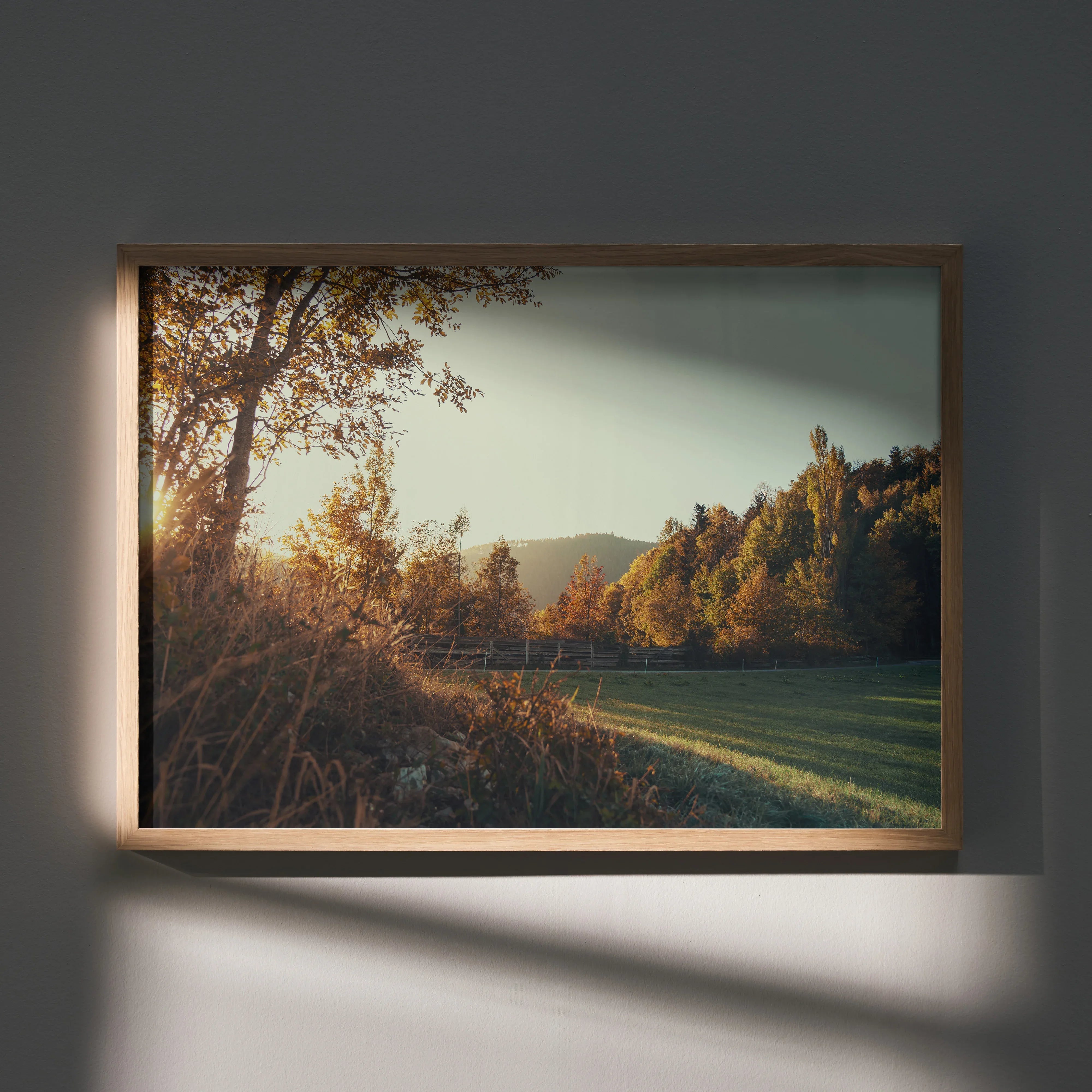 Autumn landscape poster with golden leaves and sunlit trees framed wall art.