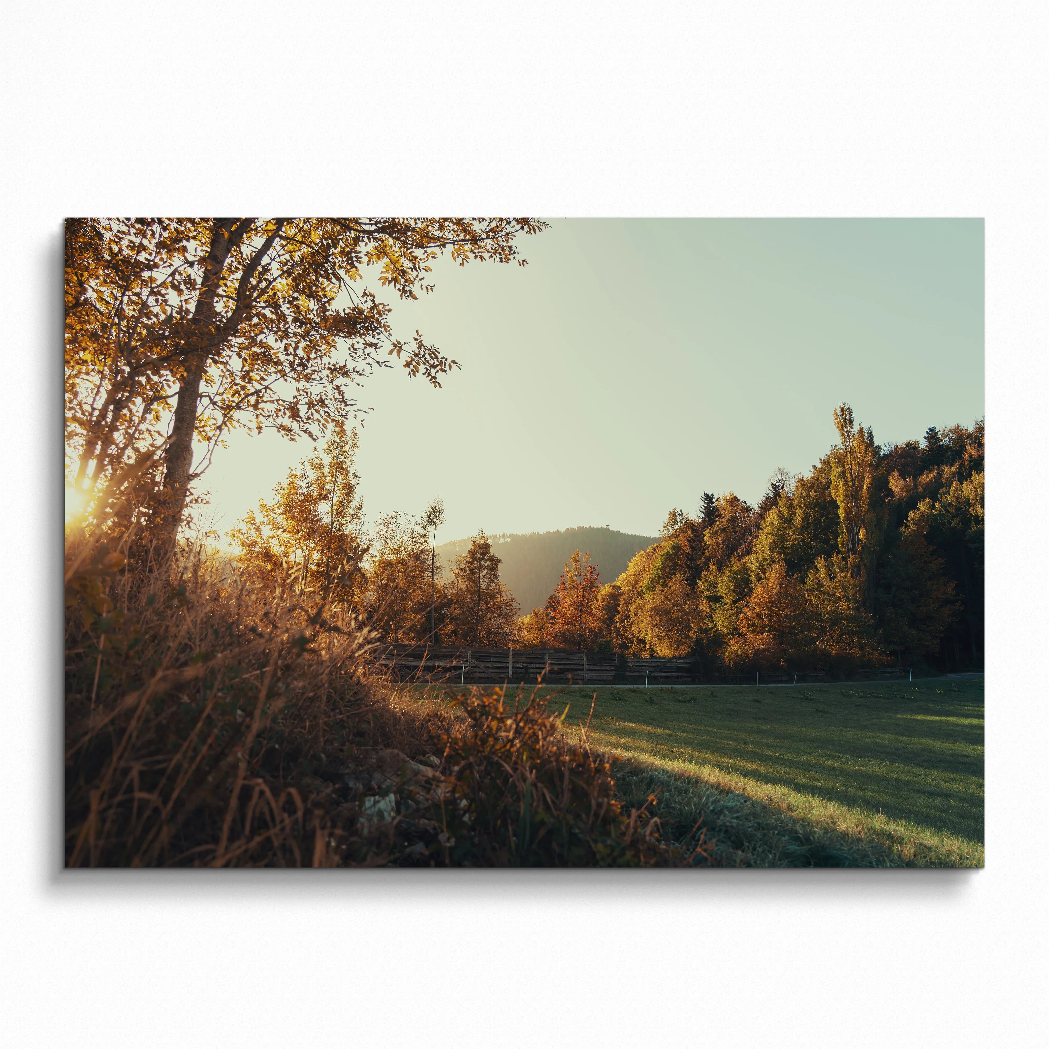 Autumn leaves and trees in warm sunlight nature art poster with grassy field wall art.