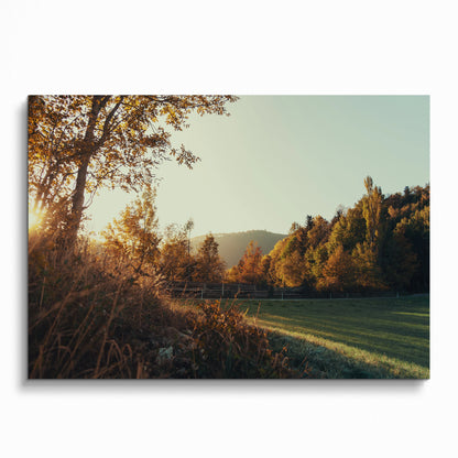 Autumn leaves and trees in warm sunlight nature art poster with grassy field wall art.
