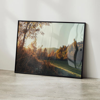 Autumn landscape wall art poster with golden leaves and soft sunlight in black frame.