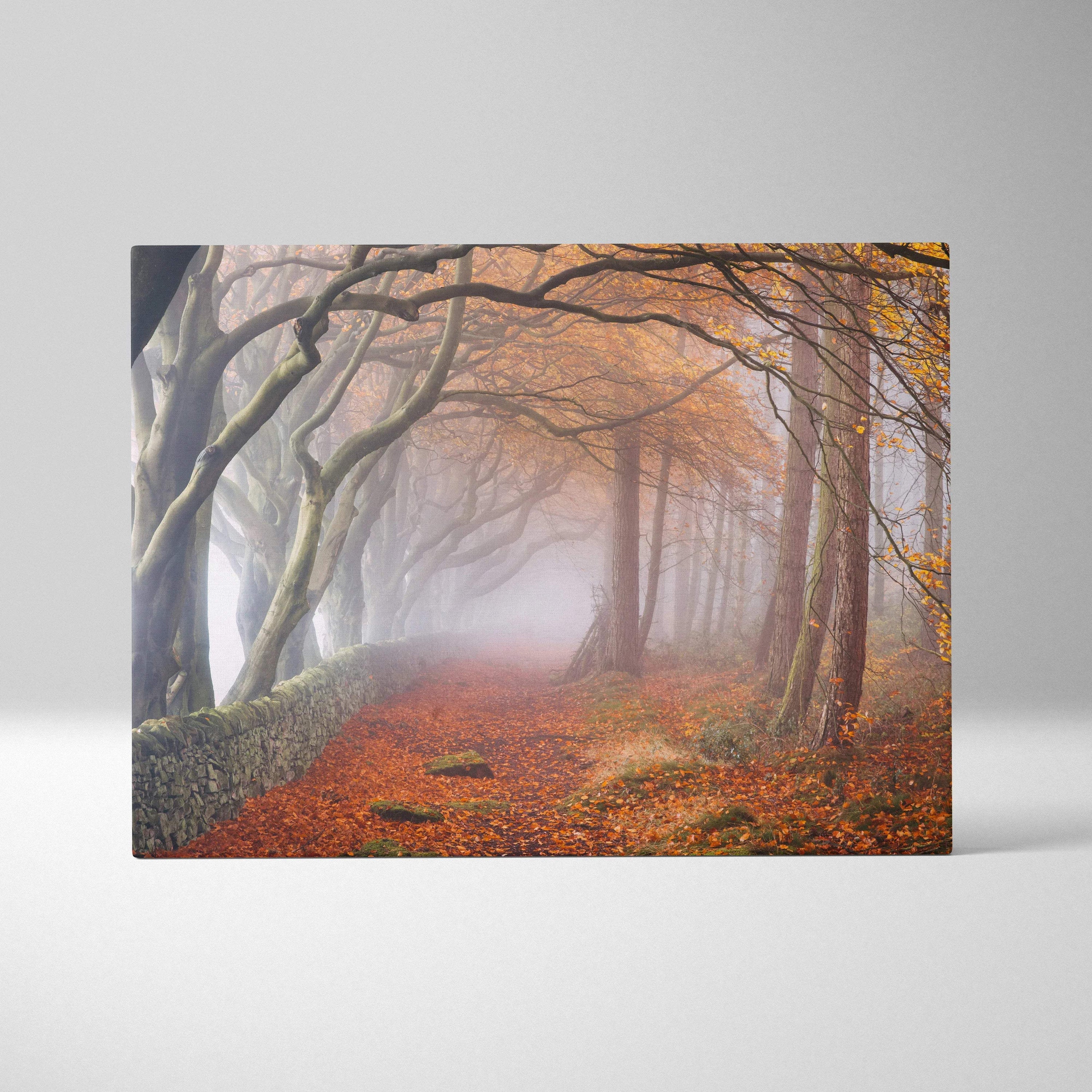Misty autumn forest path canvas art with arching trees, stone wall, vibrant leaves