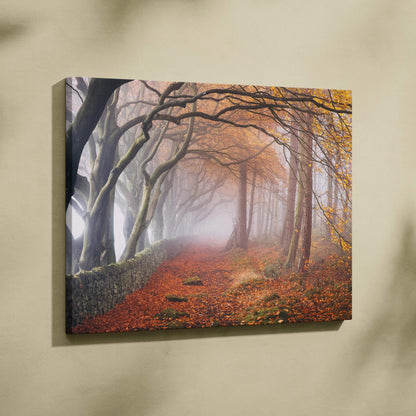Misty autumn forest path canvas art with arching trees and stone wall