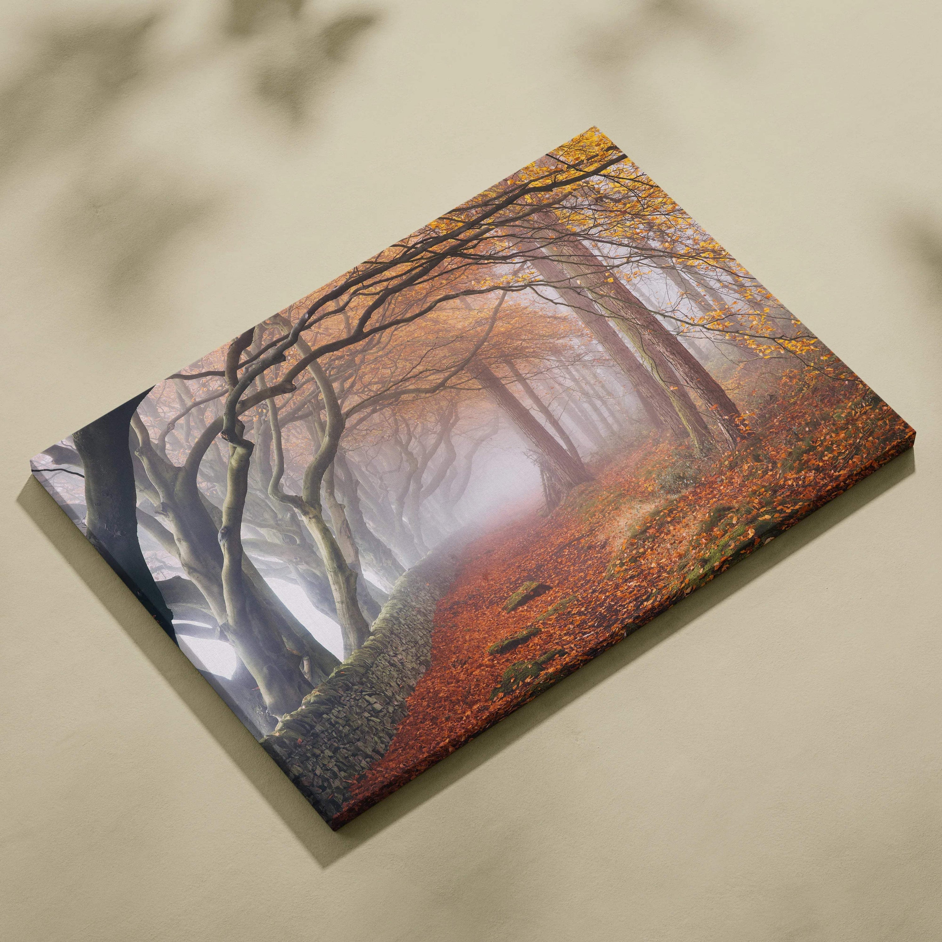 Misty autumn forest path canvas print with arching trees and stone wall
