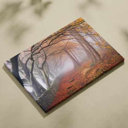 Misty autumn forest path canvas print with arching trees and stone wall