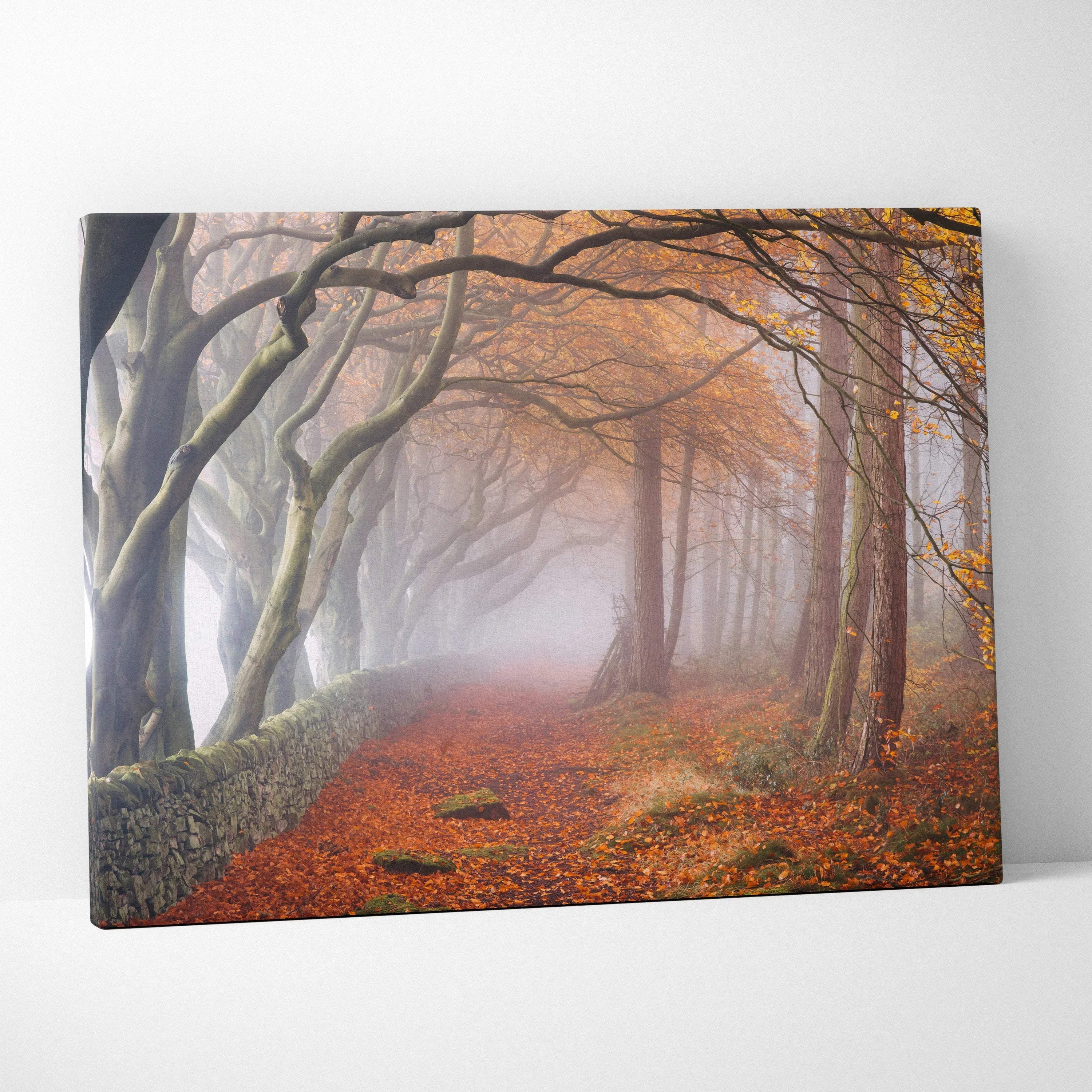 Misty autumn forest path canvas art with arching trees and stone wall