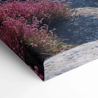 Vibrant pink heather flowers by gray rocks canvas print