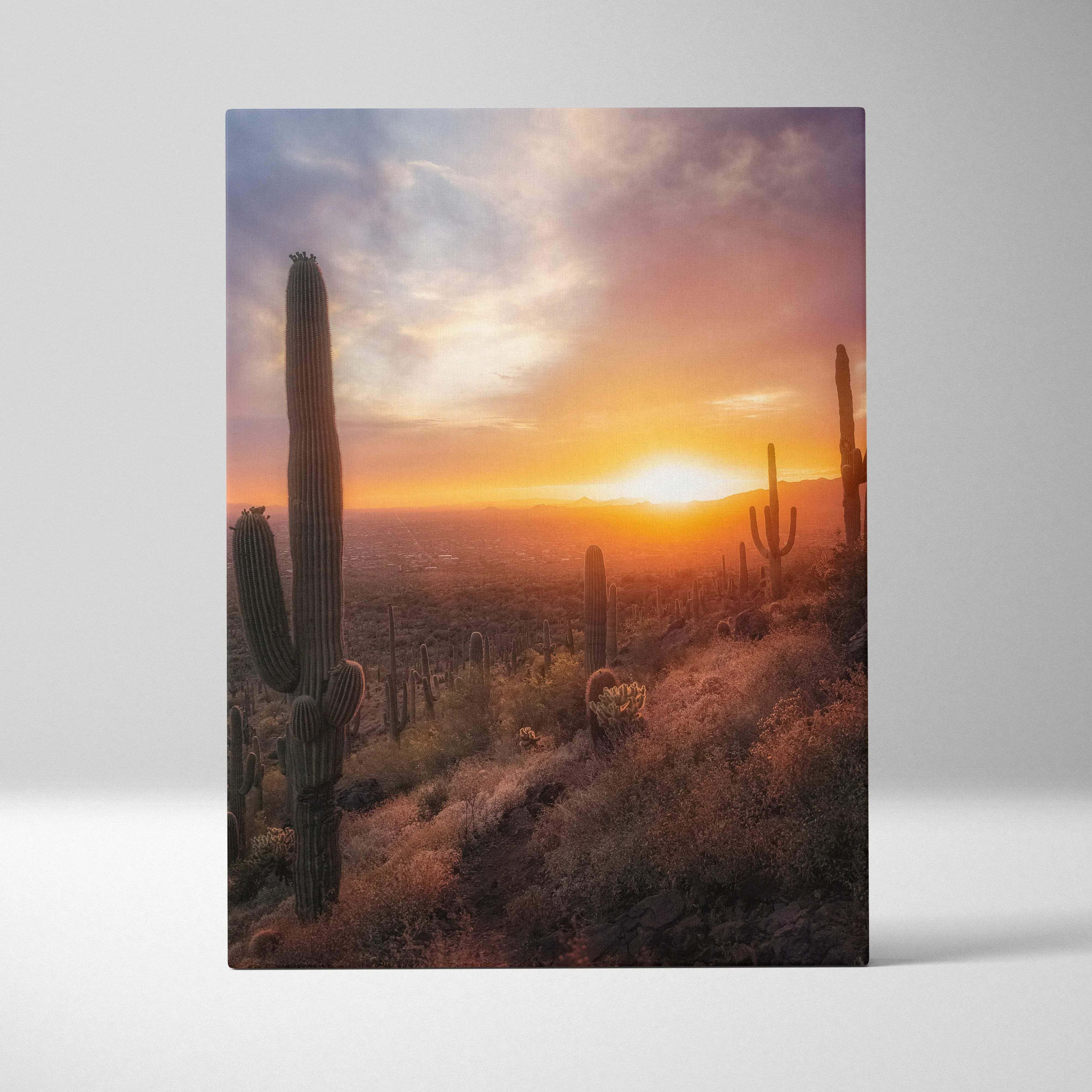 Rectangular canvas print of desert sunset landscape with sunlit saguaro cacti silhouettes in warm orange and pink hues