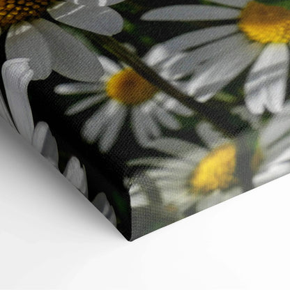 Close-up of vibrant floral canvas wall art featuring blooming white daisies with yellow centers on textured canvas.