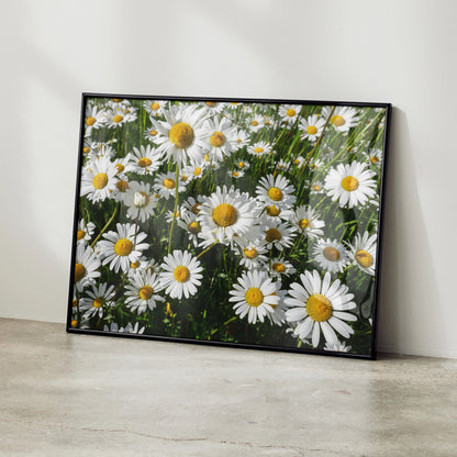 Vibrant floral art poster featuring white daisies with yellow centers in black frame leaning on wall.